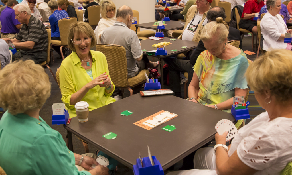 Bridge Card Game