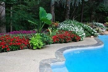 Pool Garden