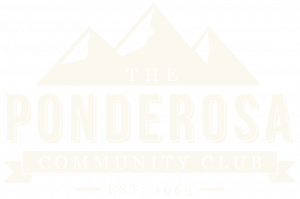 Home 1 pondo-logo-white