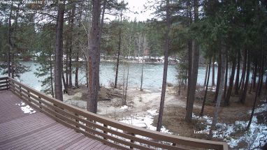 Ponderosa Webcam
