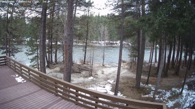 Ponderosa Webcam