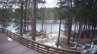 Ponderosa Webcam