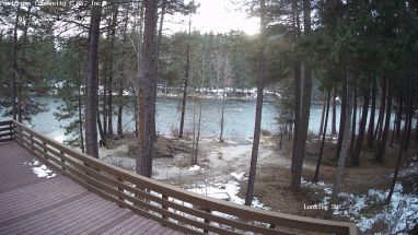 Ponderosa Webcam