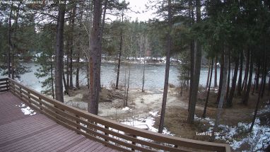 Ponderosa Webcam