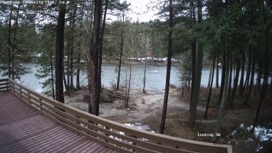 Ponderosa Webcam