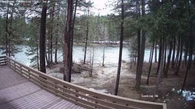 Ponderosa Webcam
