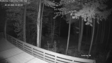 Ponderosa Webcam