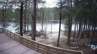 Ponderosa Webcam