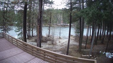Ponderosa Webcam