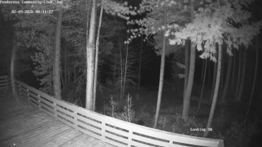 Ponderosa Webcam