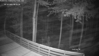 Ponderosa Webcam