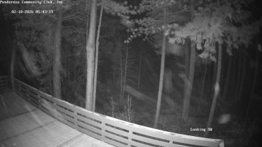 Ponderosa Webcam