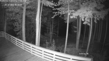 Ponderosa Webcam