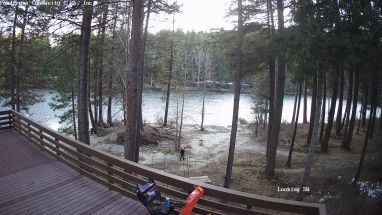 Ponderosa Webcam