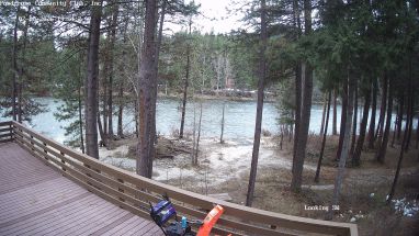 Ponderosa Webcam