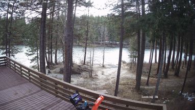 Ponderosa Webcam