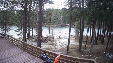 Ponderosa Webcam