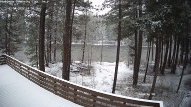 Ponderosa Webcam
