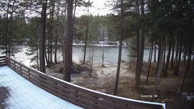 Ponderosa Webcam