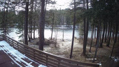 Ponderosa Webcam