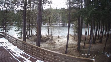 Ponderosa Webcam