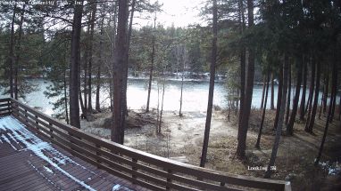 Ponderosa Webcam