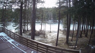Ponderosa Webcam