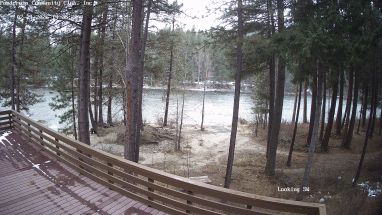 Ponderosa Webcam