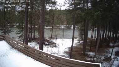 Ponderosa Webcam