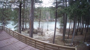 Ponderosa Webcam