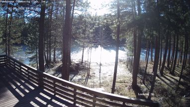 Ponderosa Webcam