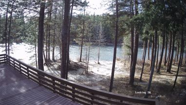 Ponderosa Webcam