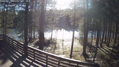 Ponderosa Webcam