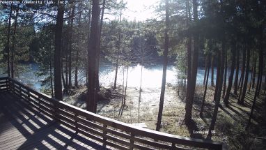 Ponderosa Webcam