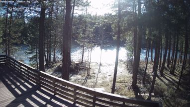 Ponderosa Webcam