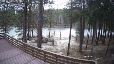 Ponderosa Webcam
