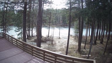 Ponderosa Webcam