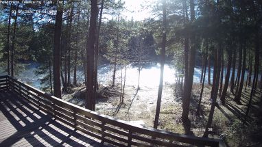 Ponderosa Webcam