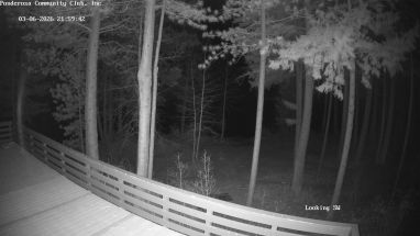 Ponderosa Webcam