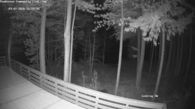 Ponderosa Webcam