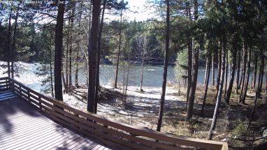 Ponderosa Webcam