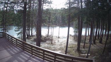 Ponderosa Webcam