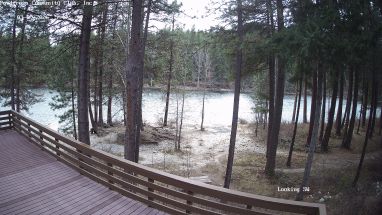 Ponderosa Webcam