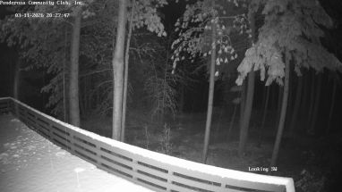 Ponderosa Webcam