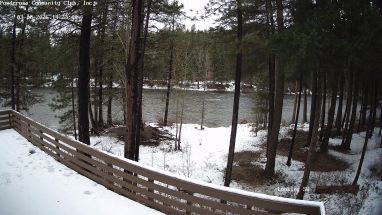 Ponderosa Webcam