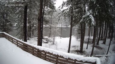 Ponderosa Webcam