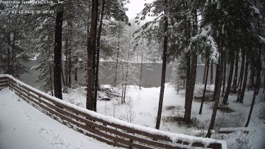 Ponderosa Webcam