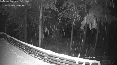 Ponderosa Webcam