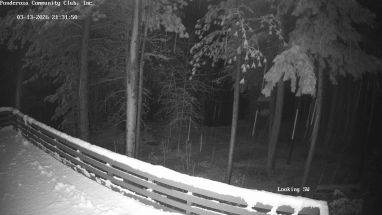 Ponderosa Webcam