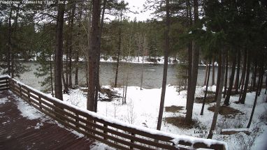 Ponderosa Webcam